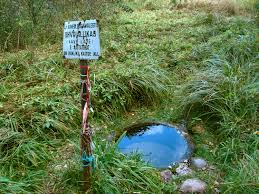 Kavilda Urgorg Silmaallikas