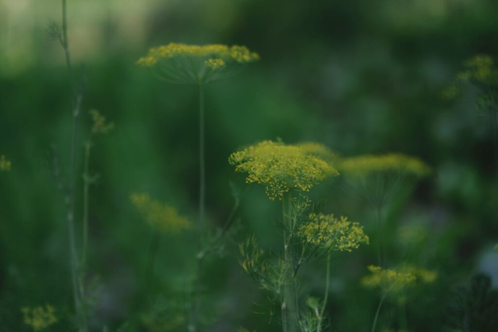 pexels photo 8809095.jpeg